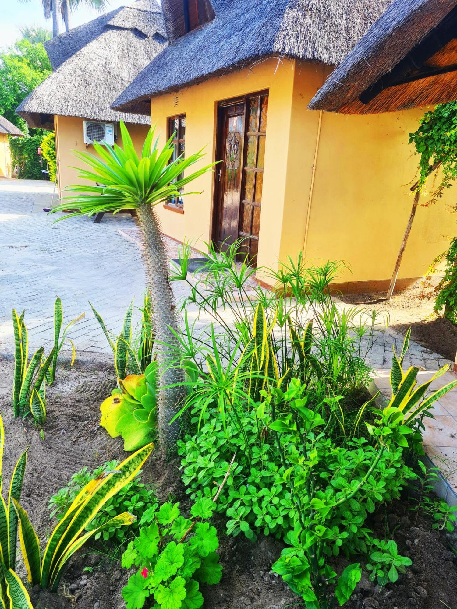 Maya Bnb Nata Exterior photo